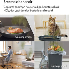 Dyson Purifier Cool De-NOx TP12 – HEPA H13 Air Purifier Fan Formaldehyde Removal Smart App 350° Oscillation (Nickel/Gold)